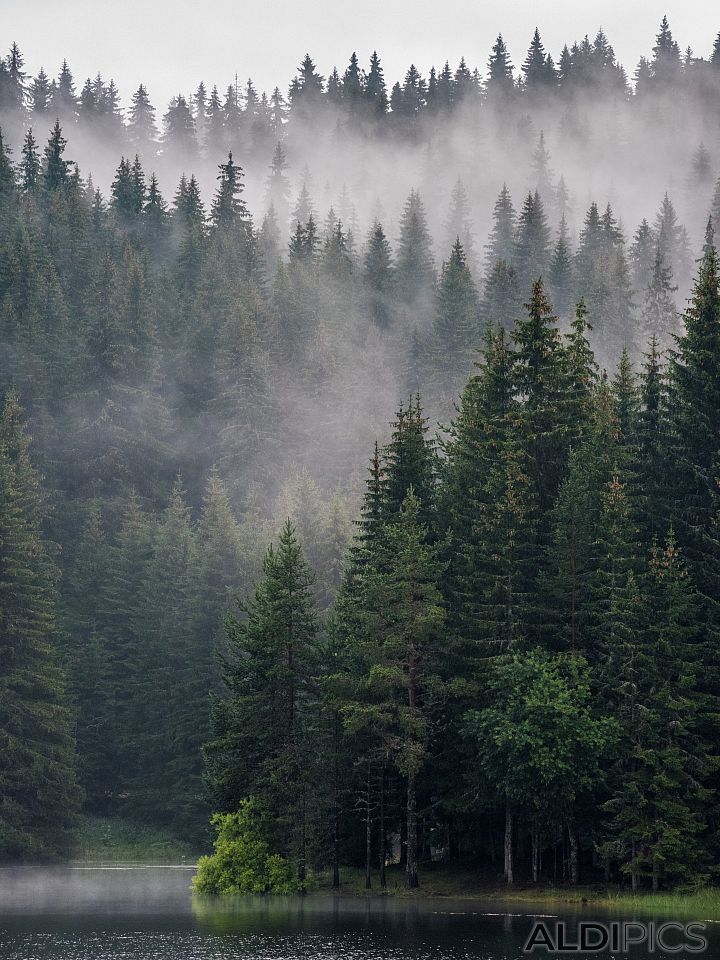 Пейзажи от Чатъма