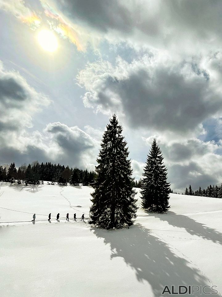 Winter walk near Progled