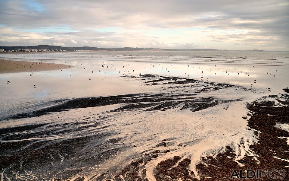 The beach of Essaouira