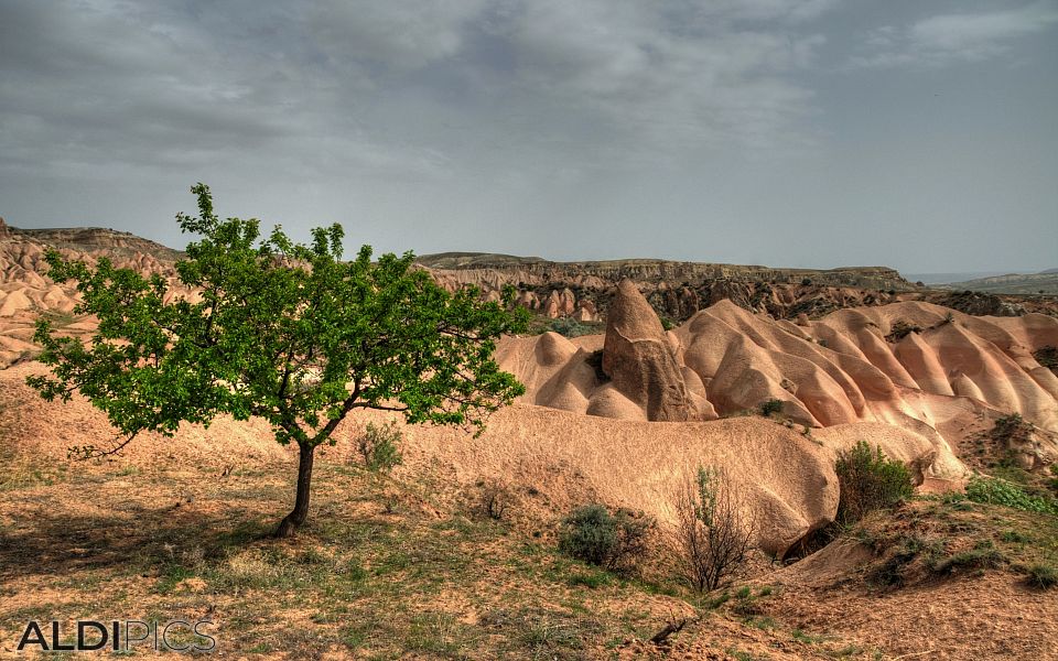 Many rock formations in Cappadocia