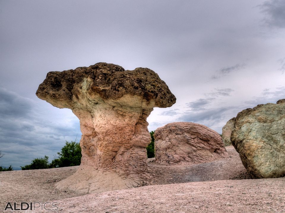 Stone mushrooms