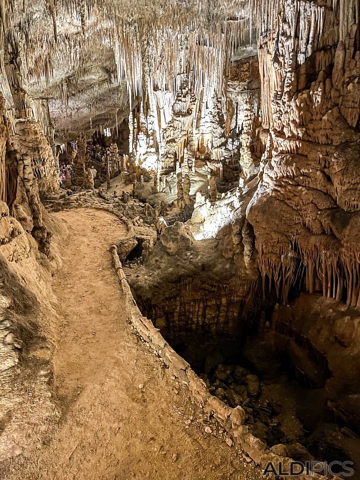 Cuevas del Drach