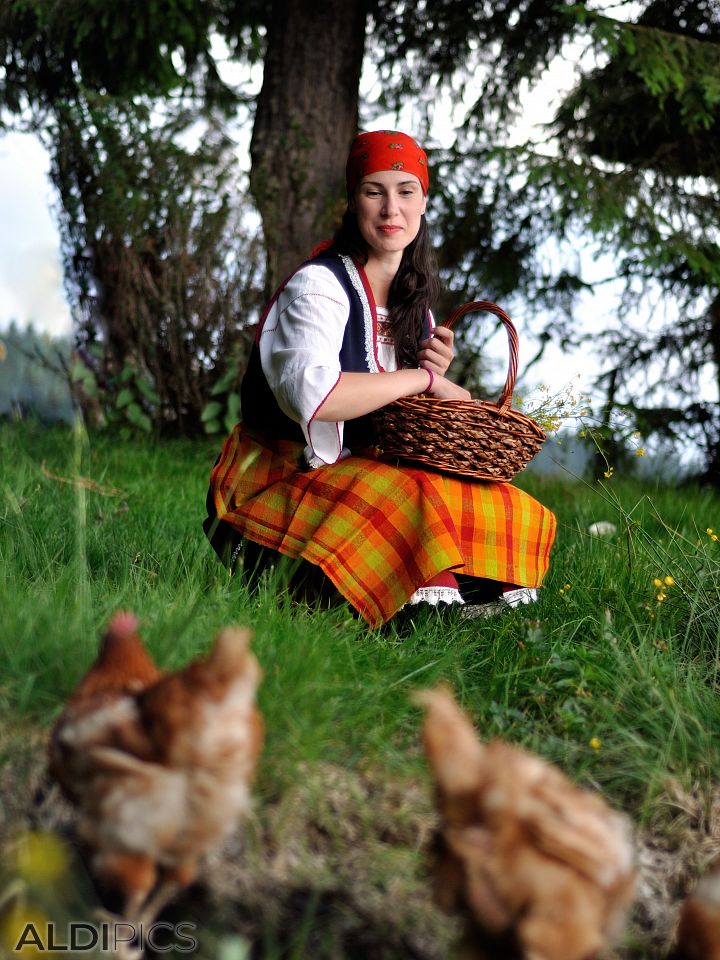 Girl feeds chickens 
(model: Stella Tasheva)