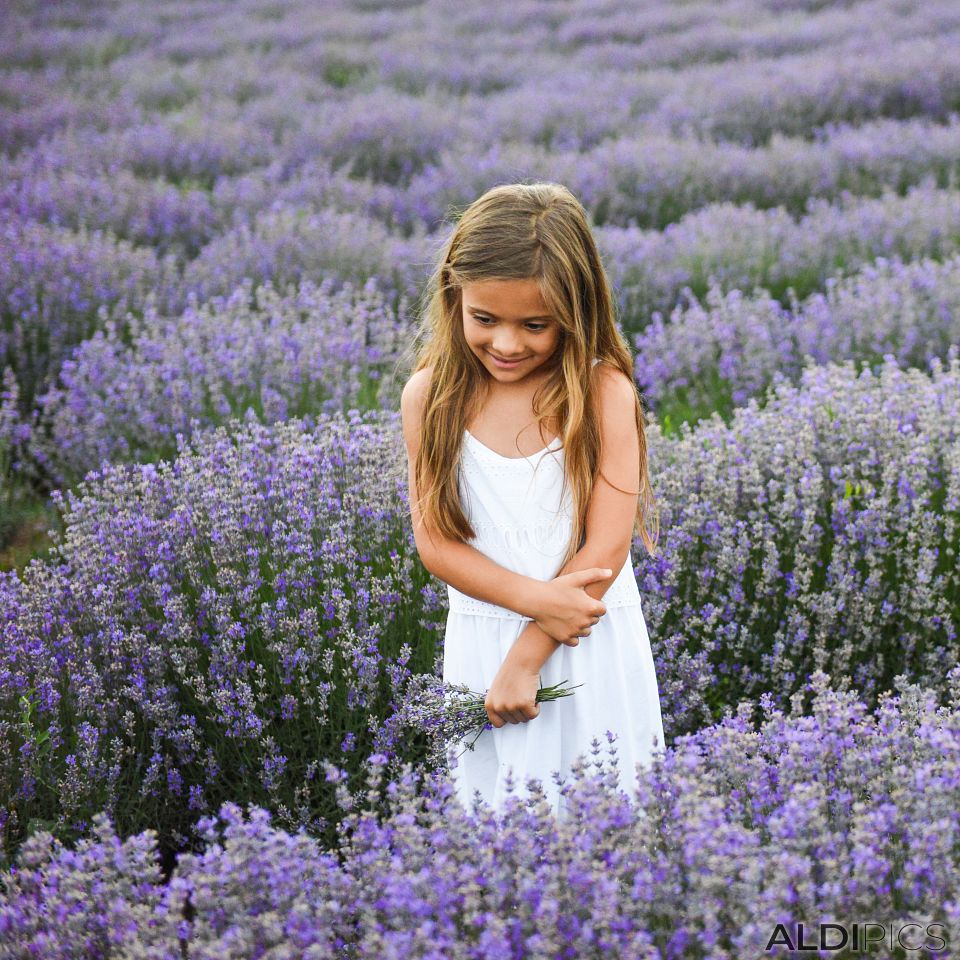 Lavender time