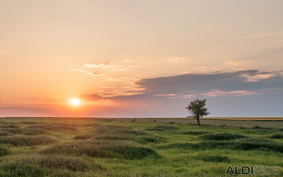 Sunset over the fields