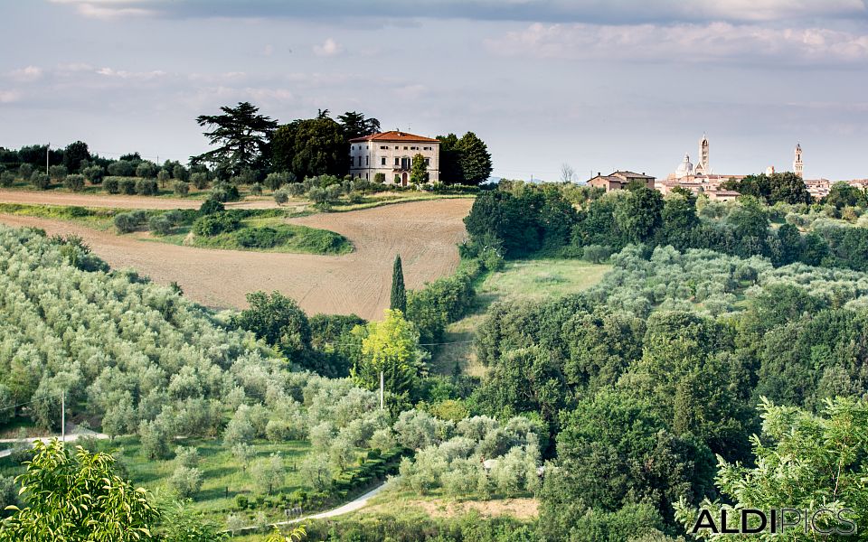 Tuscan landscape