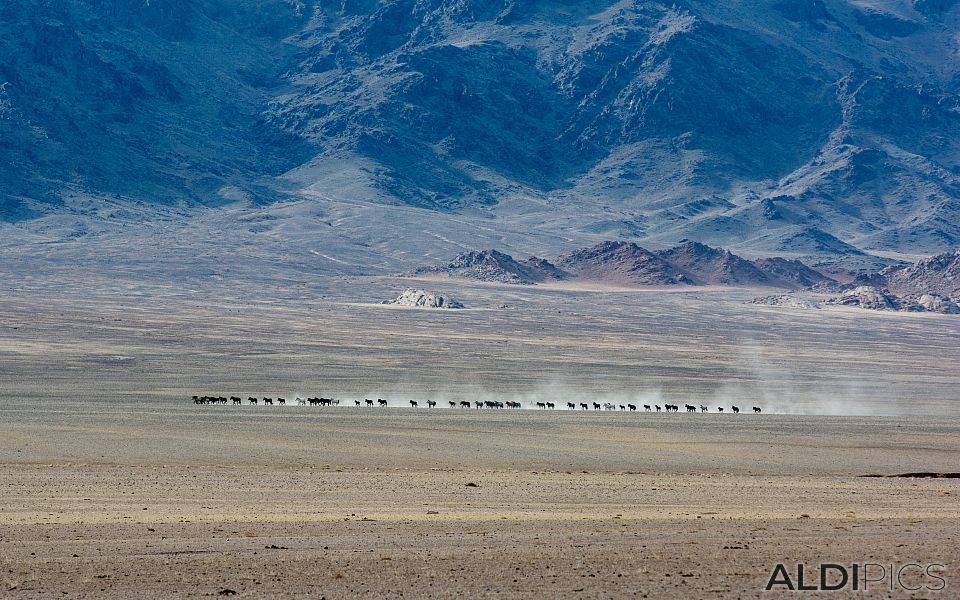 Steppes near Achit-Nuur