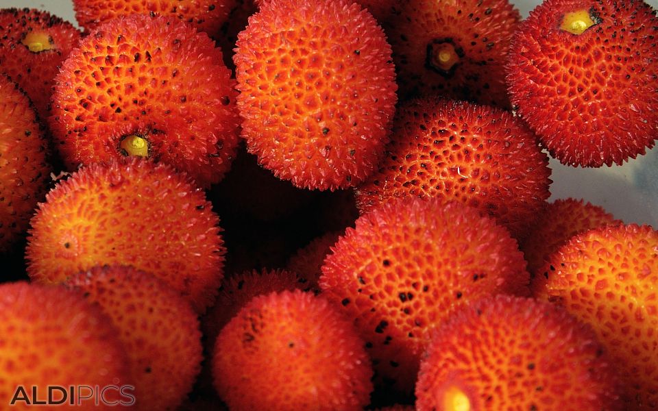 Exotic fruits from Morocco