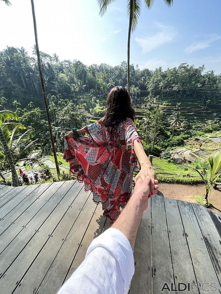 Follow me... to the rice terraces