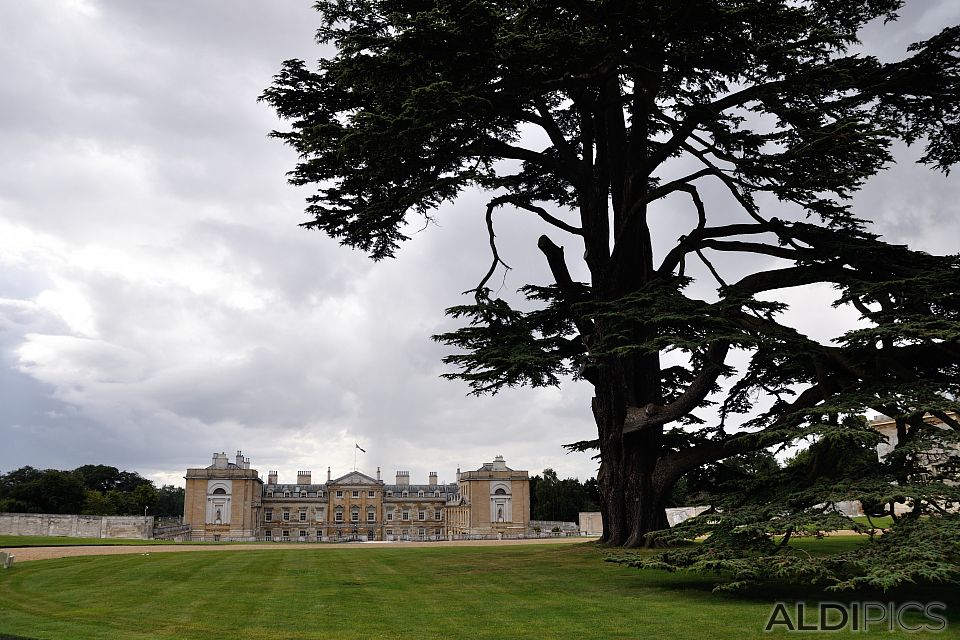 Woburn Abbey