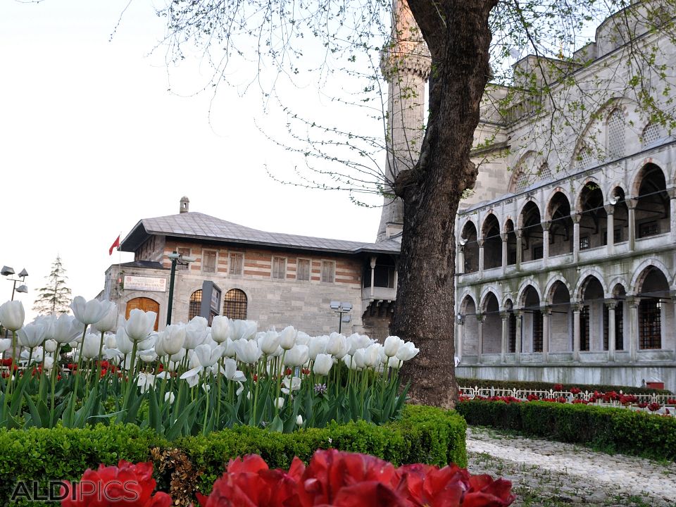 Istanbul, Turkey