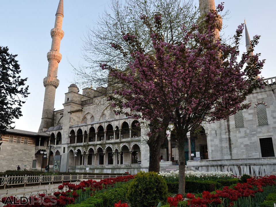 Istanbul, Turkey