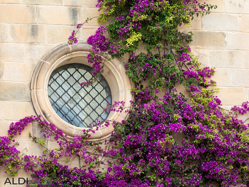 Mdina - the old capital of Malta