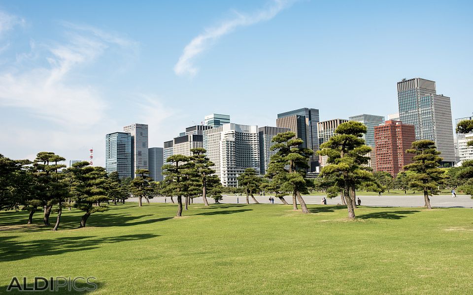 Streets of Tokyo