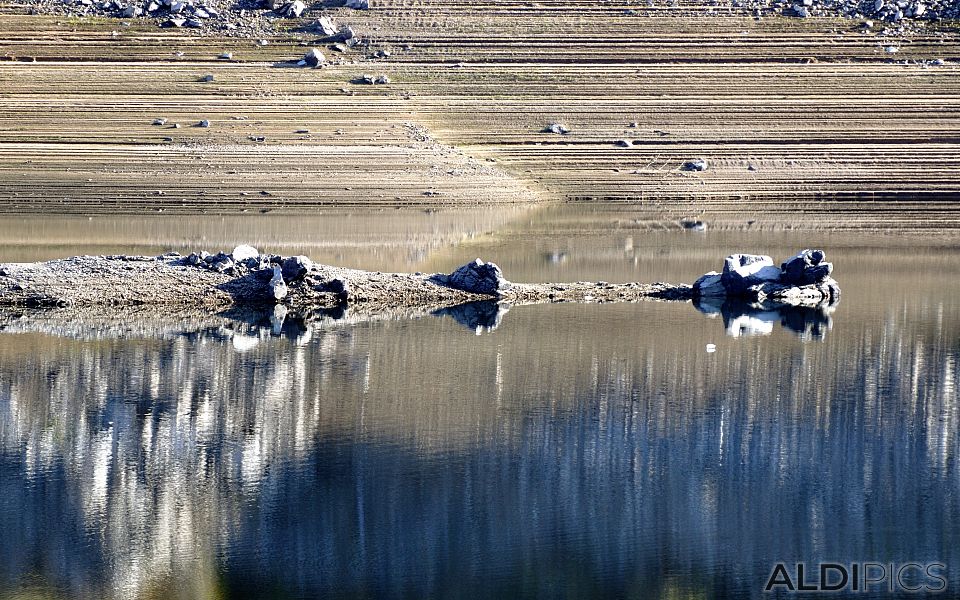 Toplochitsa dam