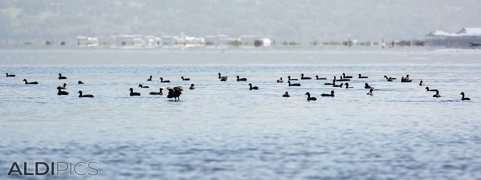 Inle Lake