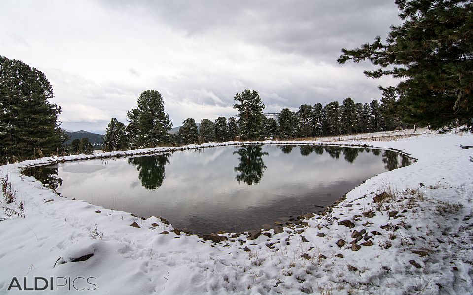 Snow lake