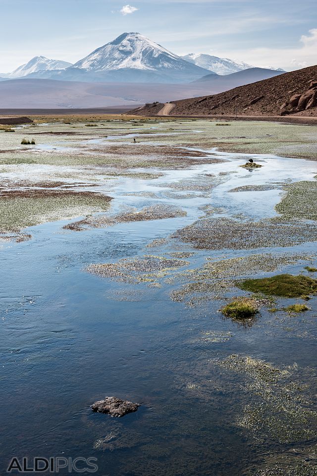 Landscapes from Atacama