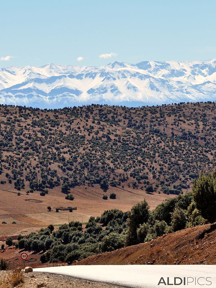 Atlas Mountains