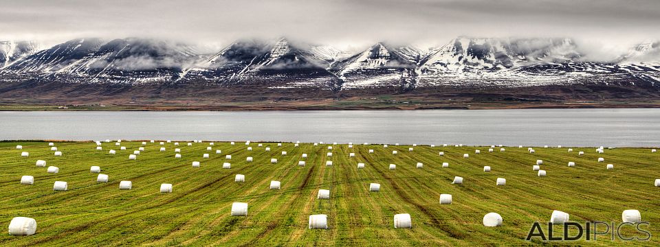 Somewhere in Iceland