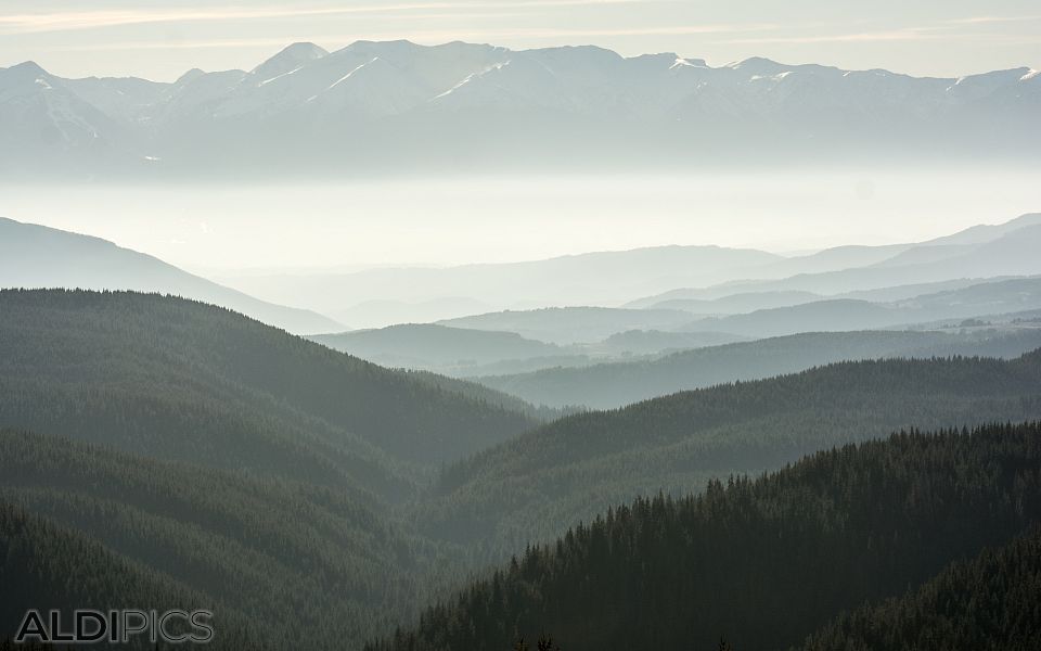 View to Pirin