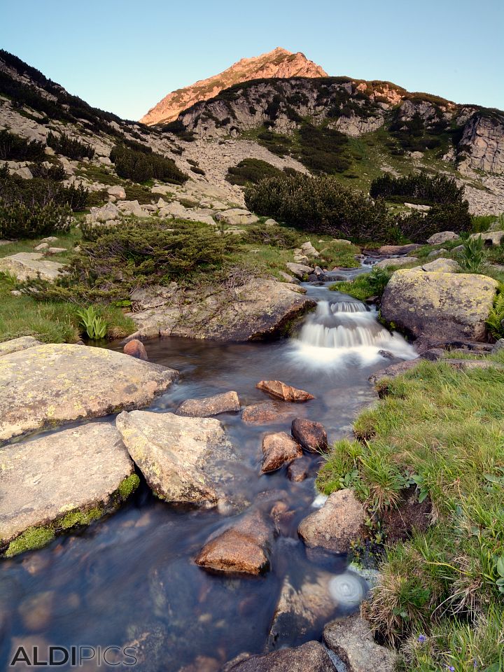 Creek in Pirin