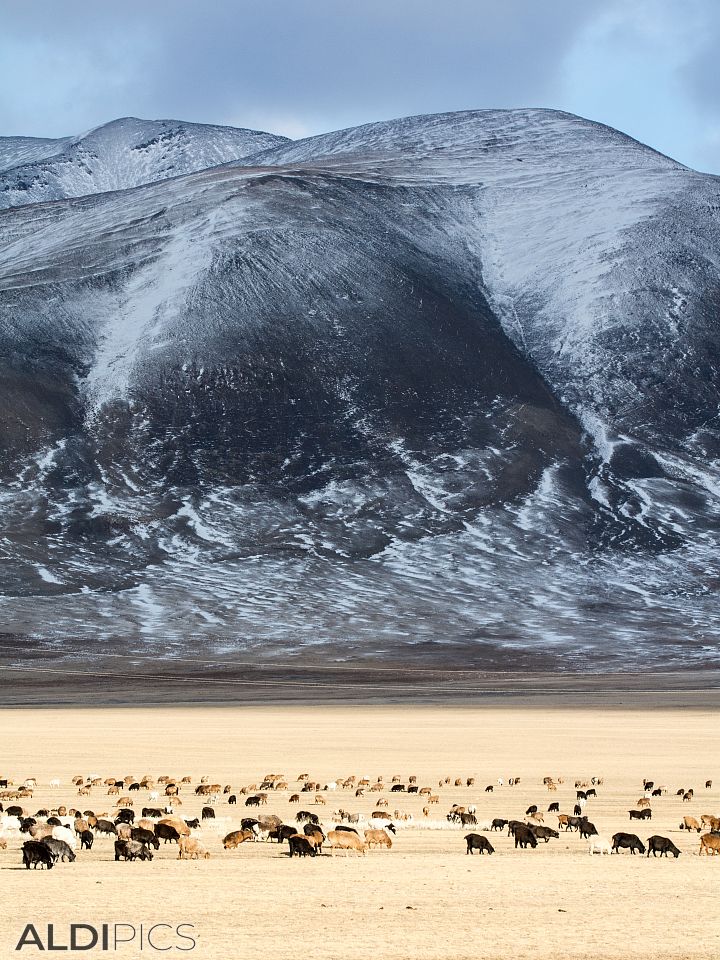 Mountain landscape