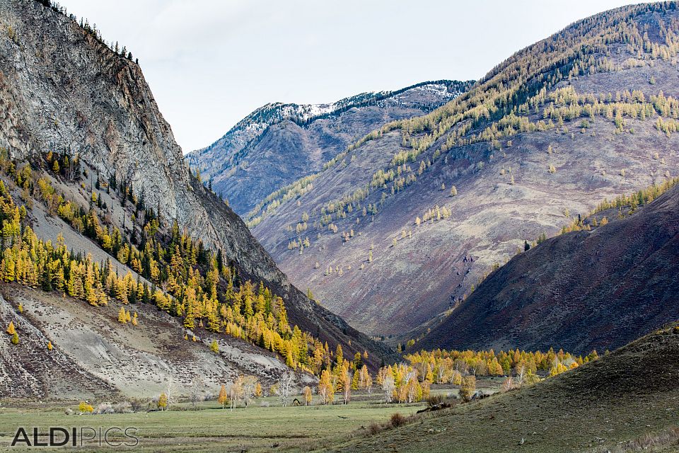 Mountain landscape