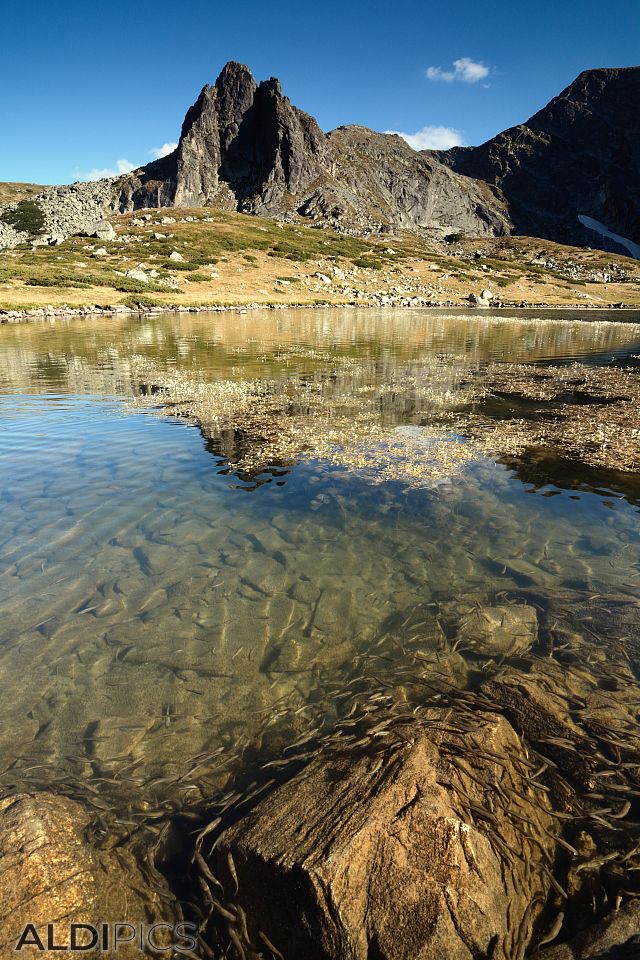 The Seven Rila Lakes