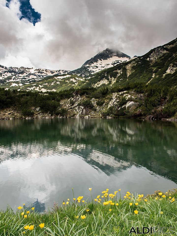 Pirin