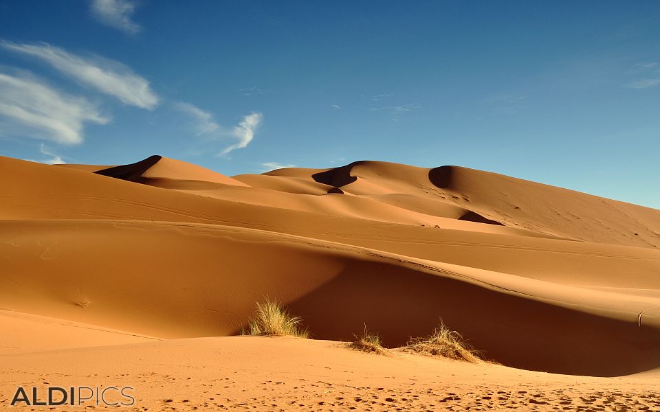 Sand dunes of the Sahara