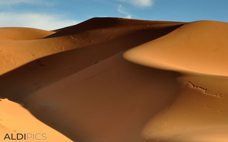 Sand dunes of the Sahara