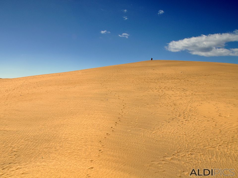 Dunes of Maspalomas