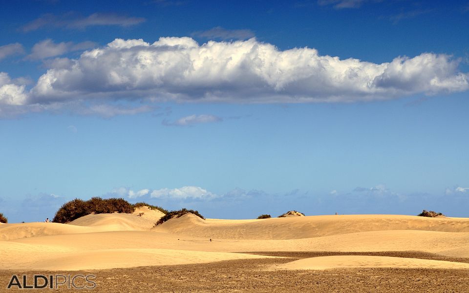 Dunes of Maspalomas