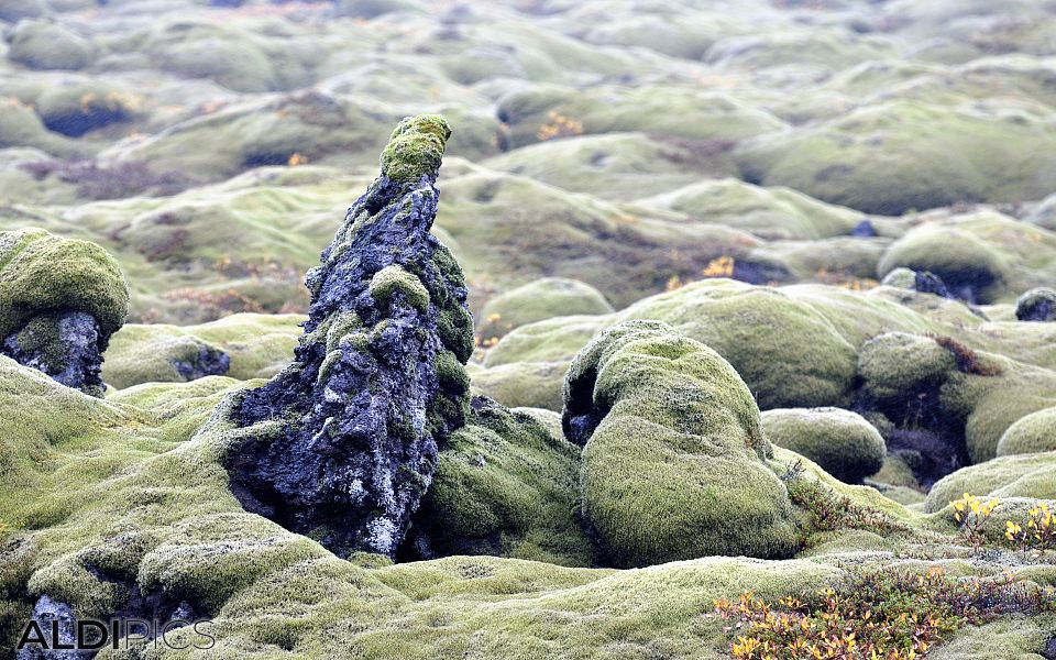 Somewhere in Iceland