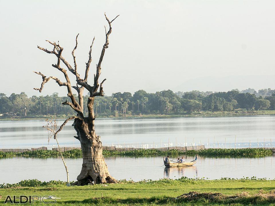 Taung Tha Man Lake