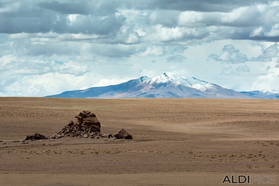 From the Andes to the Atacama