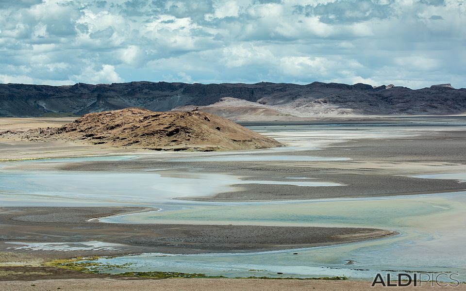 From the Andes to the Atacama