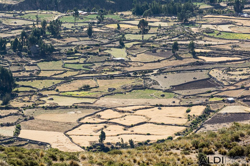 On the way to Colca