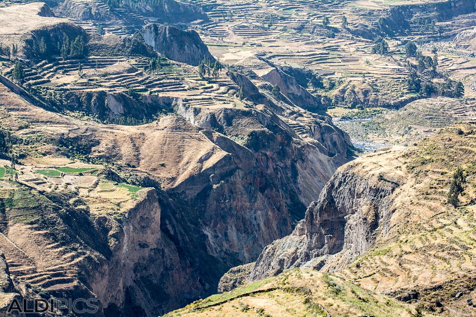 Colca canyon