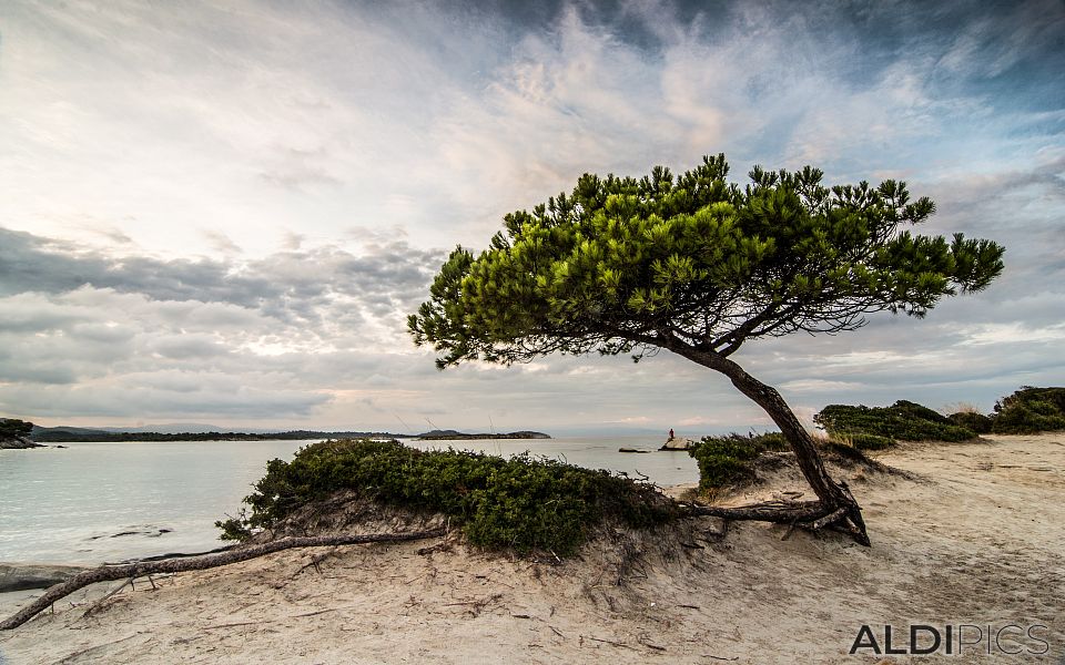 Karidi beach