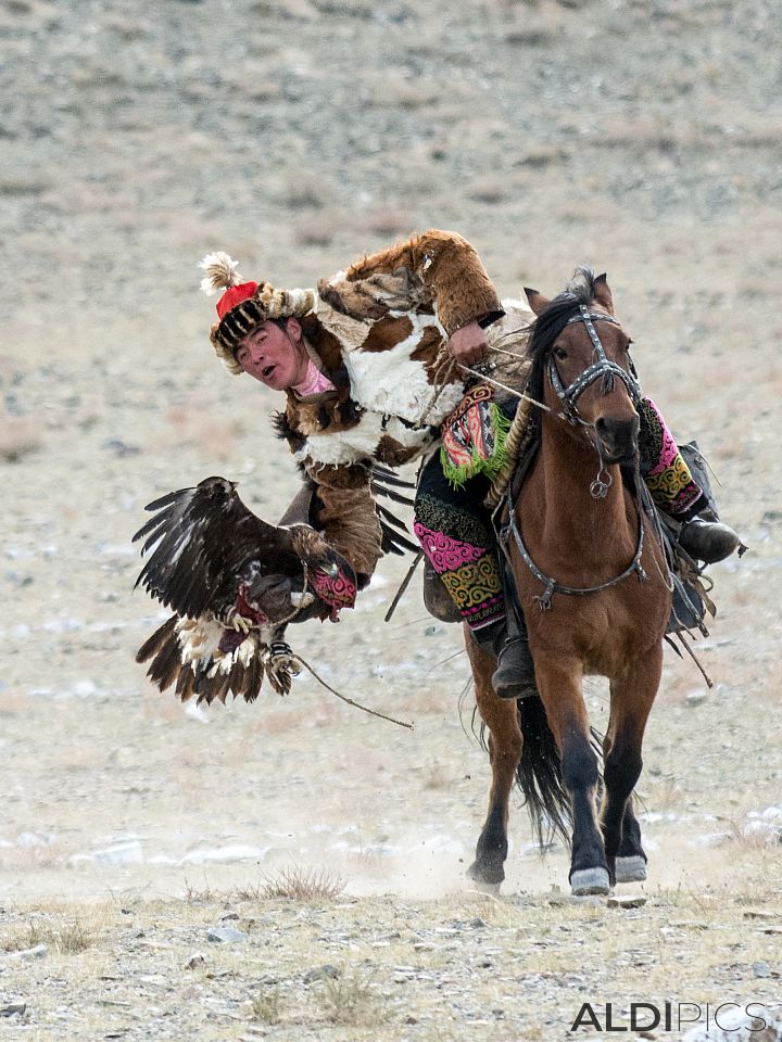 Golden Eagle Festival