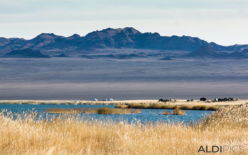 Achit-Nuur Lake