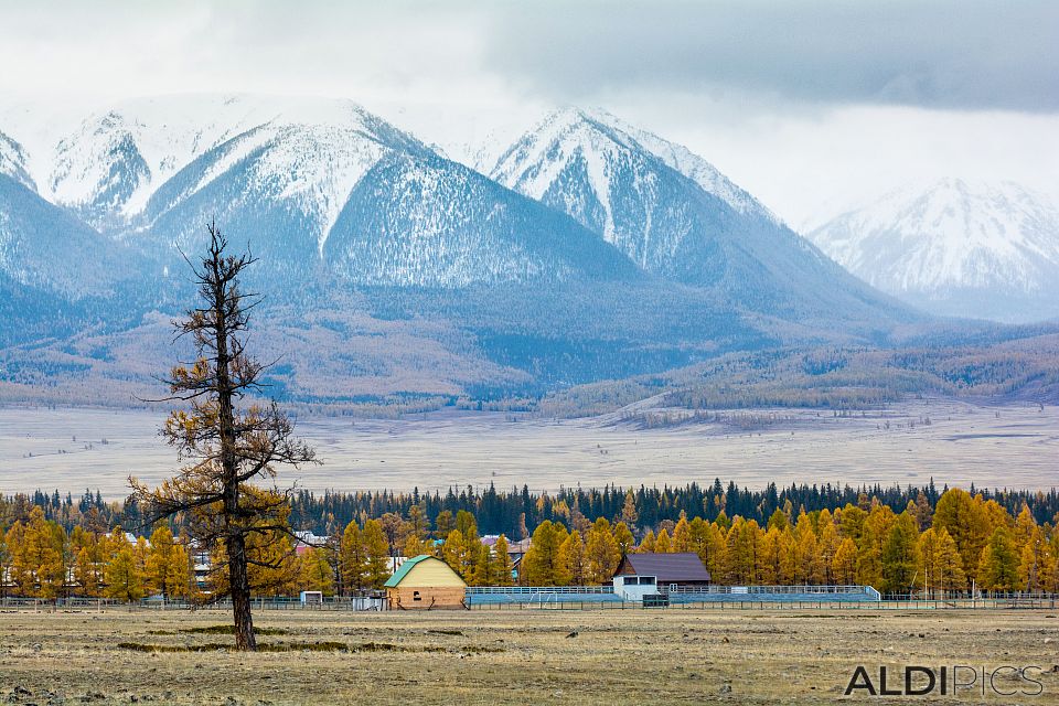 Autumn in Altai