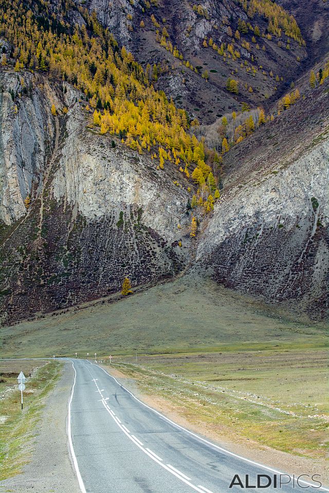 Autumn in Altai