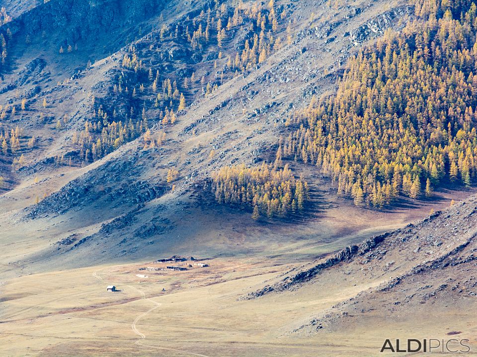 Autumn in Altai