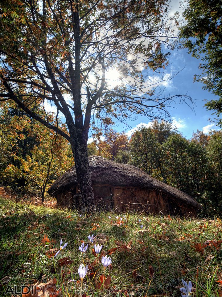 Landscapes near Zlatograd