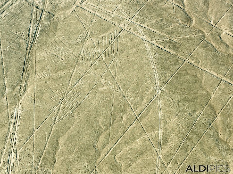 Figures of Nazca