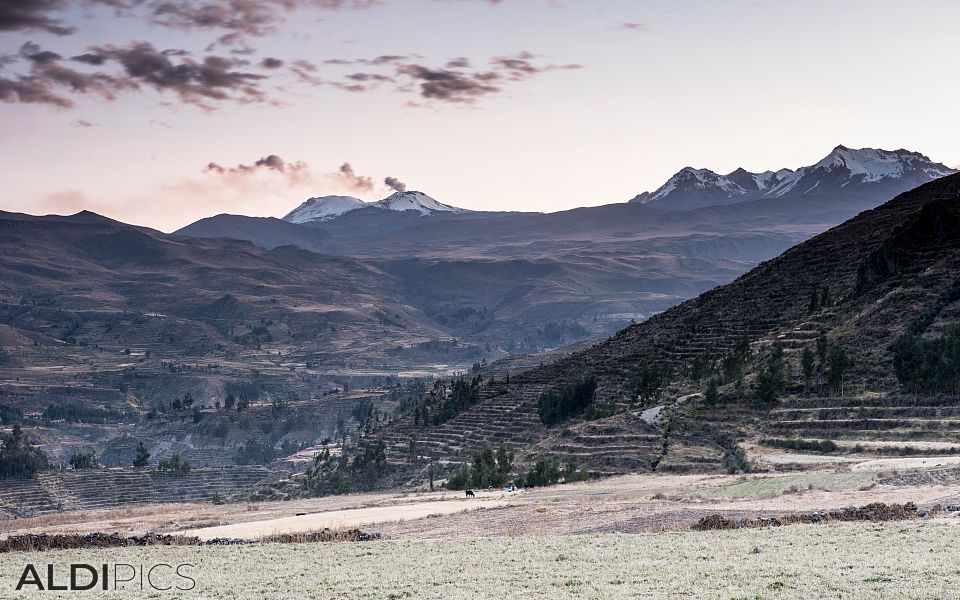 Colca canyon