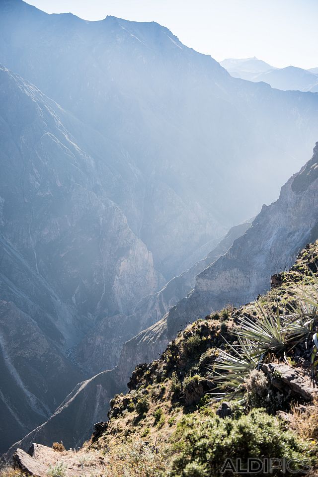 Colca canyon